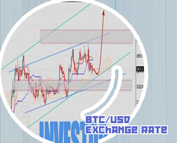 Btc to uysd